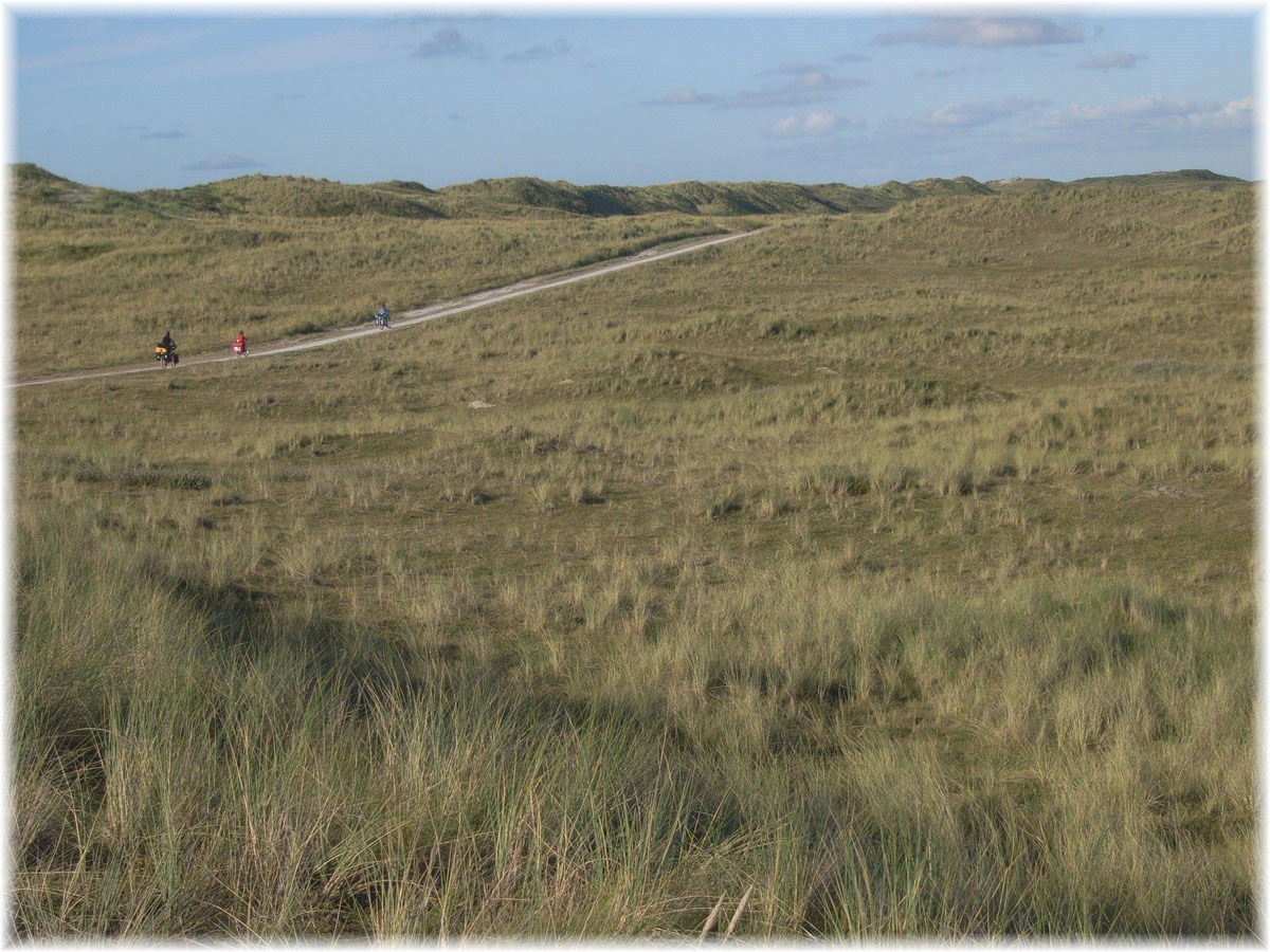 Nordseeküstenradweg, North Sea Cycle Route, Niederlande, Vlieland