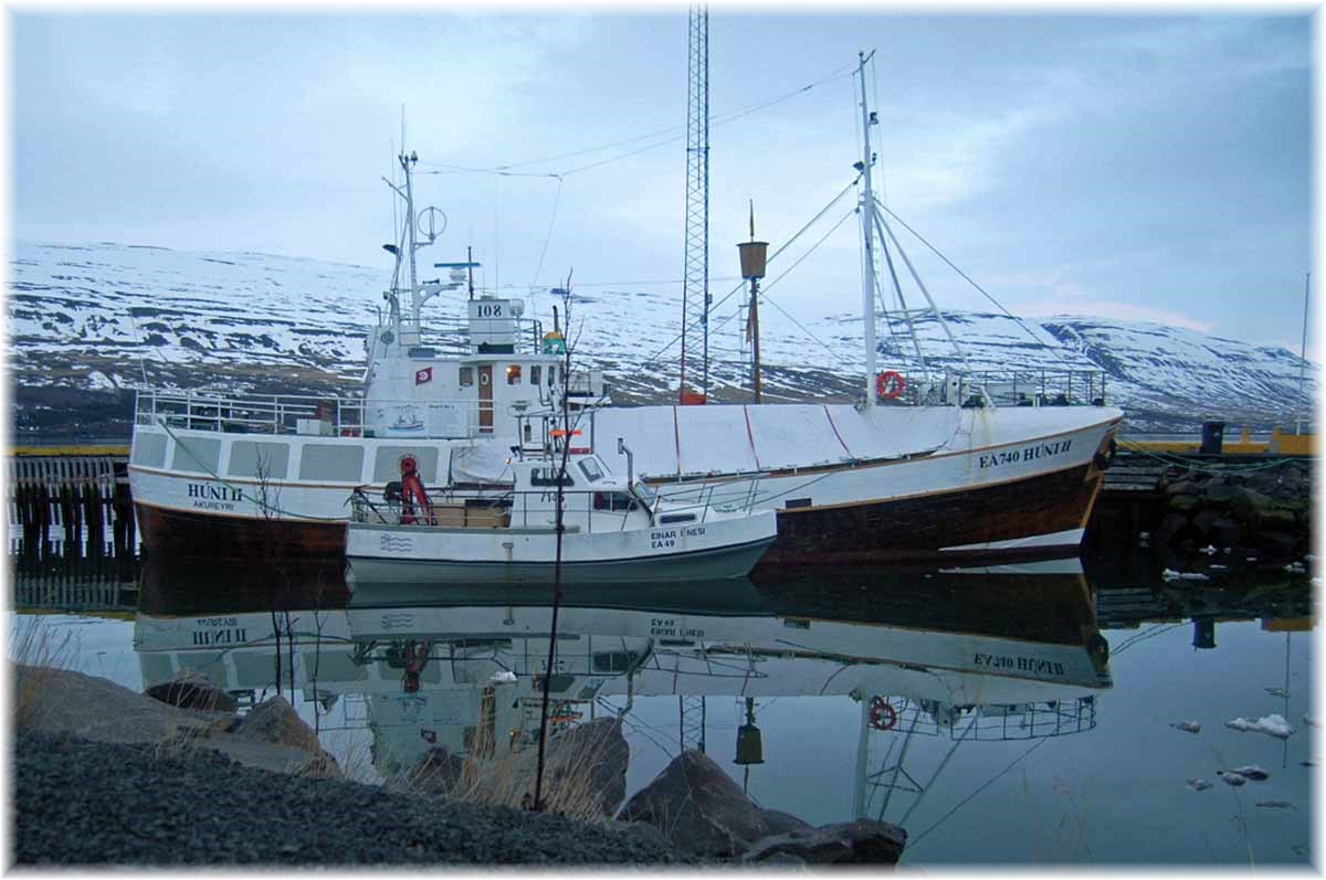 Island im Winter per Rad, Im Hafen von Akureyri