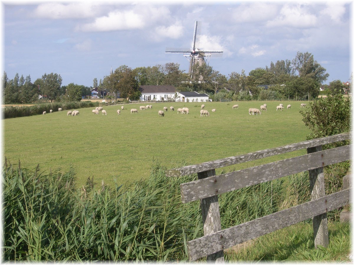 Nordseeküstenradweg, North Sea Cycle Route, Niederlande, typische Windmühle