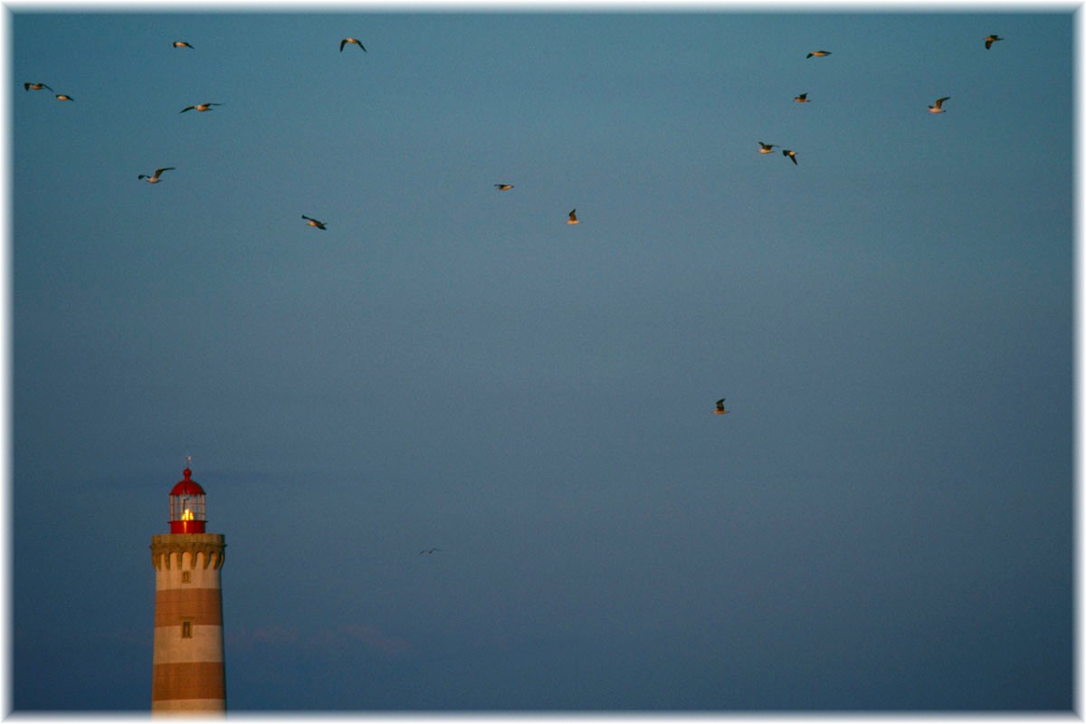 Portugal, Leuchtturm von Aveiro, Barra Strand